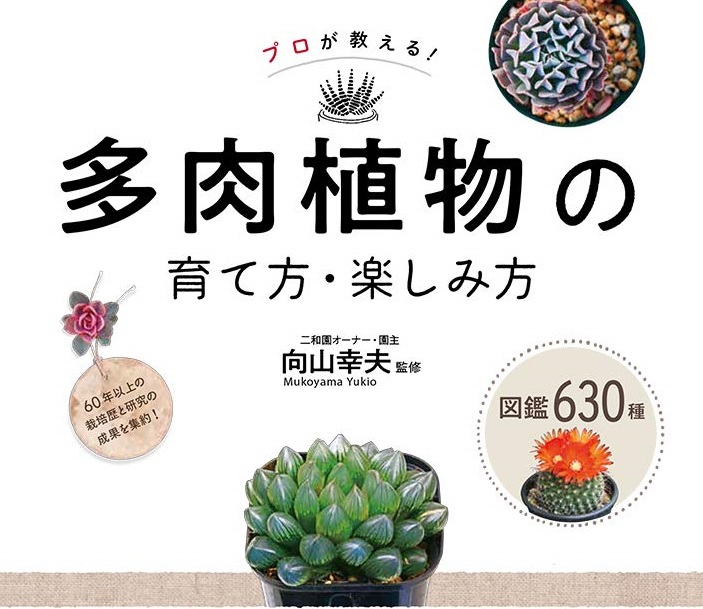 やっぱりサボテンが好き 三洋堂書店 やっぱりサボテンが好き 三洋堂書店