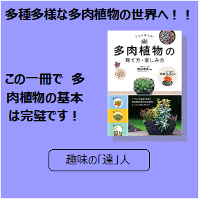 やっぱりサボテンが好き。 – 三洋堂書店