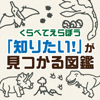 もう迷わない 人気の図鑑のえらび方 三洋堂書店 もう迷わない 人気の図鑑のえらび方 三洋堂書店