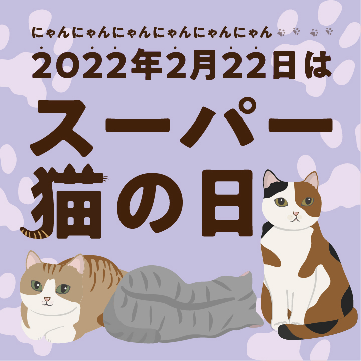 22年2月22日はスーパー猫の日 三洋堂書店